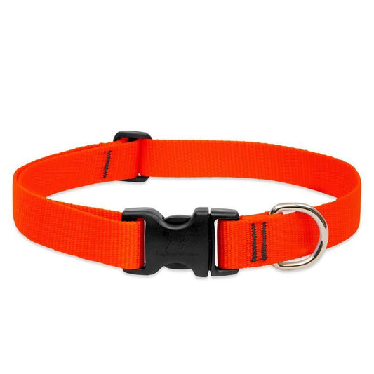 COLLAR LUPINE PARA PERRO CON BROCHE - BLAZE ORANGE
