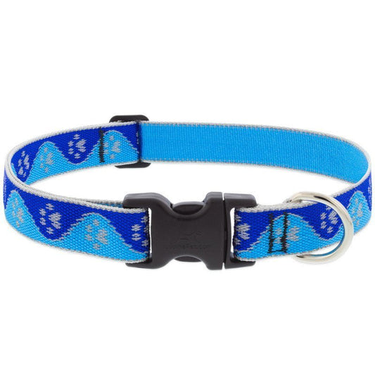 Collar LUPINE para PERRO con BROCHE - BLUE PAWS