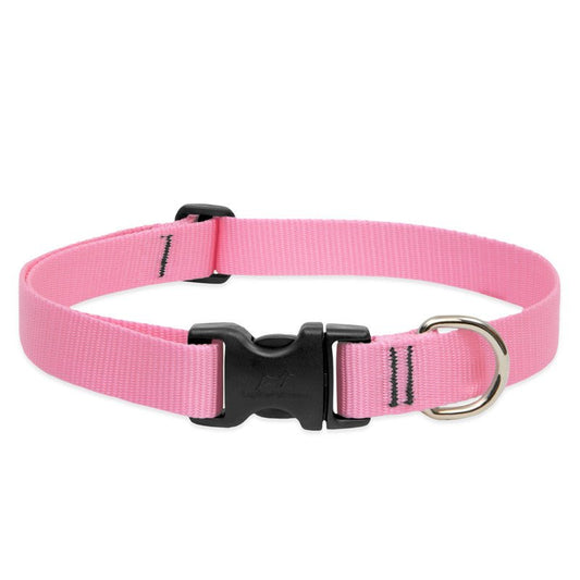 COLLAR LUPINE PARA PERRO CON BROCHE - PINK