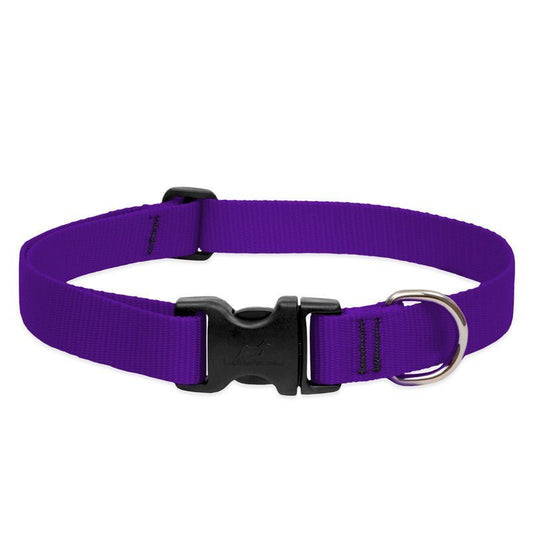 COLLAR LUPINE PARA PERRO CON BROCHE - PURPLE