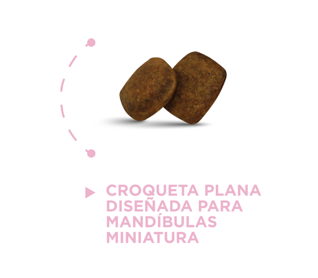 croqueta_rm