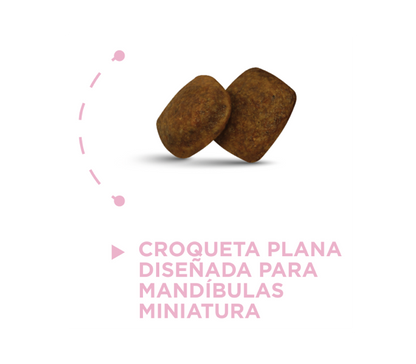 croqueta_rm