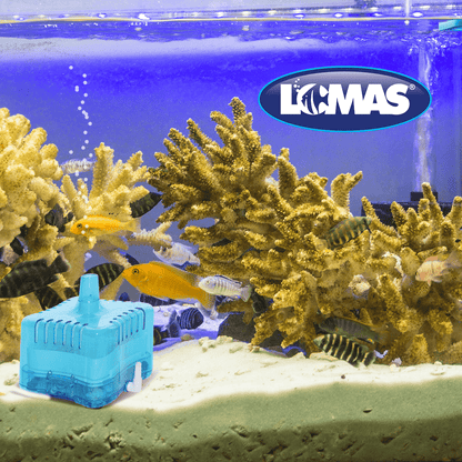 FILTRO INTERNO CAJA 25LTS