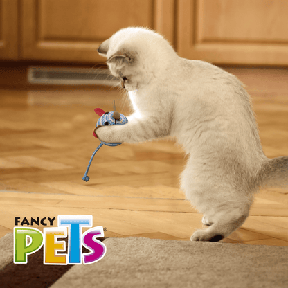 JUGUETE PELOTA DE RATON CATCH 2PZAS