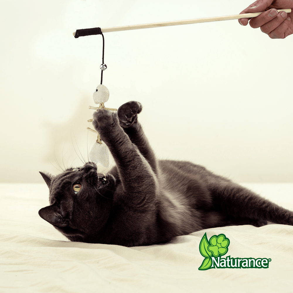 JUGUETE PESCADO P/ GATO