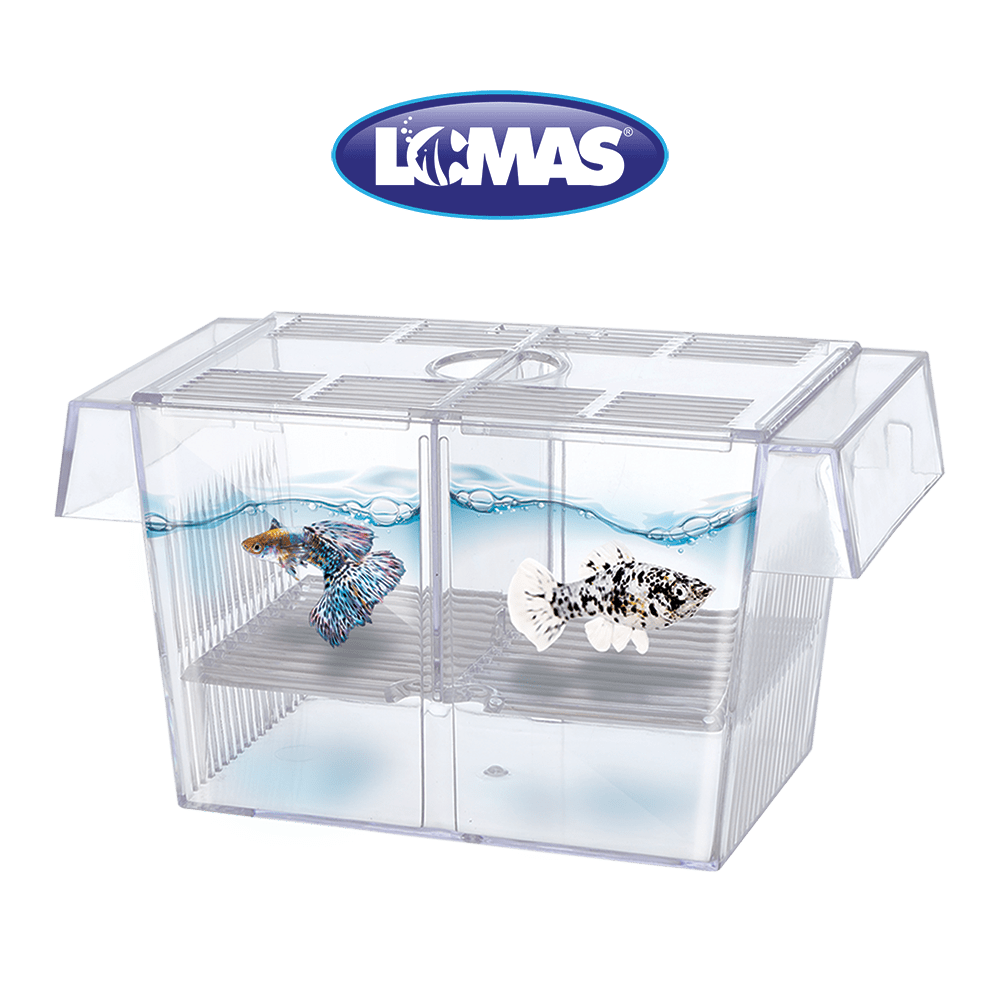 MATERNIDAD FLOTANTE 1.4LT