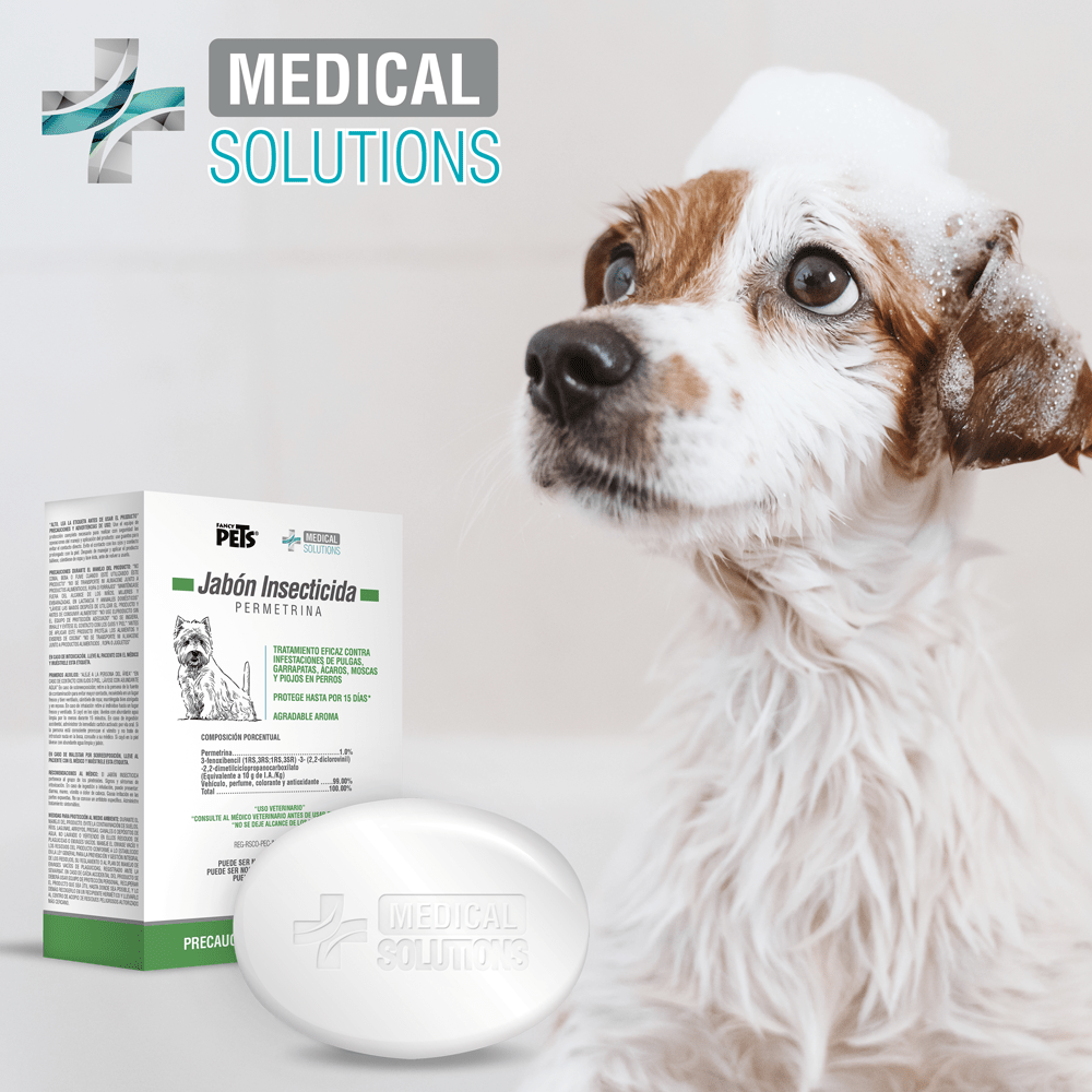 MS - JABON INSECTICIDA 100GR