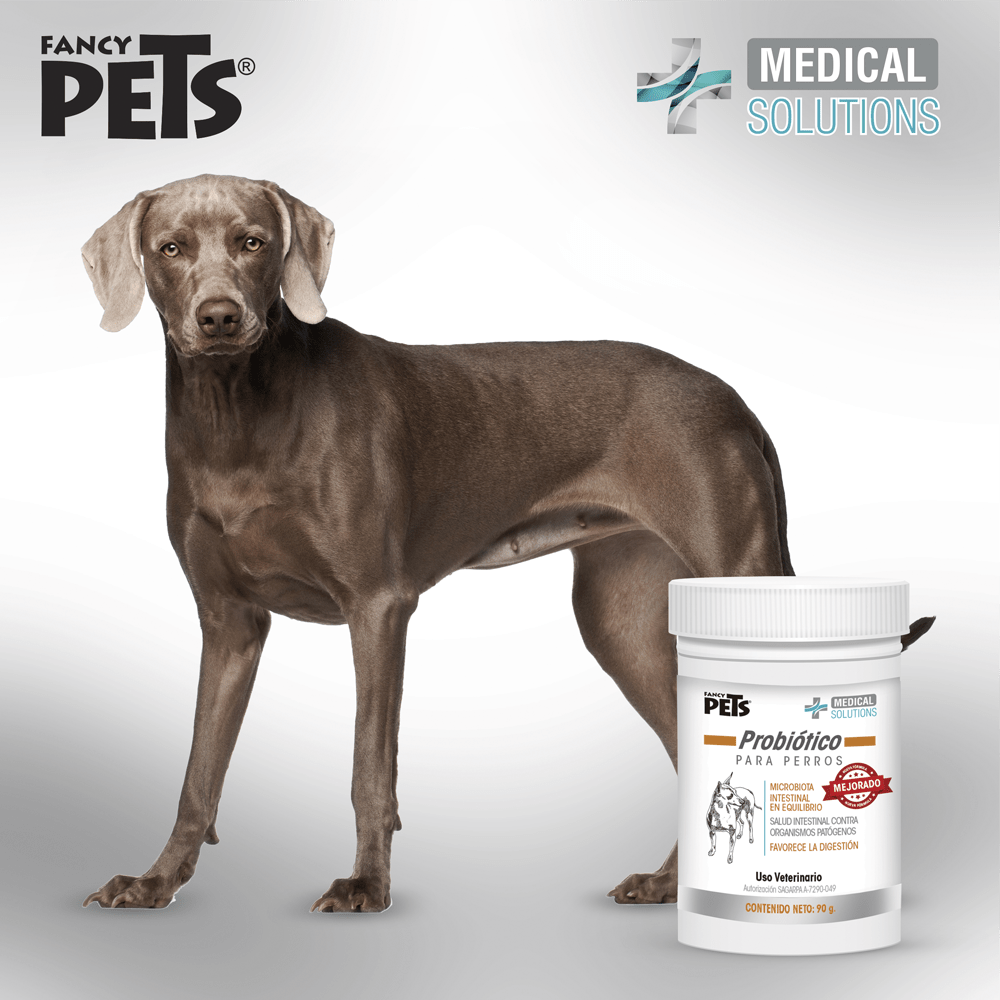 MS - NATURANCE PROBIOTICO P/PERROS 90G
