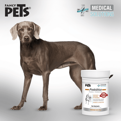 MS - NATURANCE PROBIOTICO P/PERROS 90G