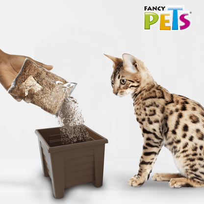 PASTO PARA GATO REPUESTO