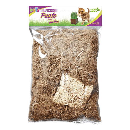 PASTO PARA GATO REPUESTO