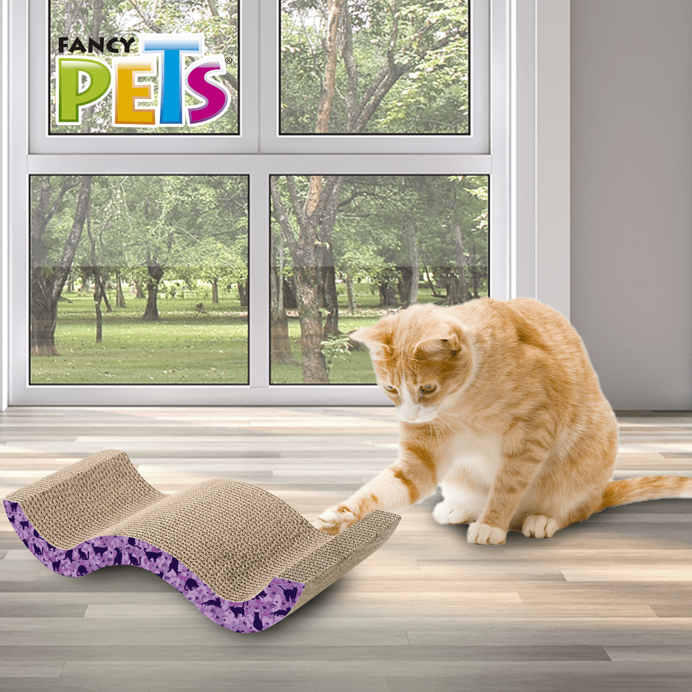 RASCADOR DE OLAS P/GATO 49.5CM