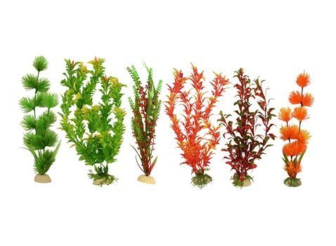 SUNNY PLANTA SUNNY BOLSA NARANJA 12