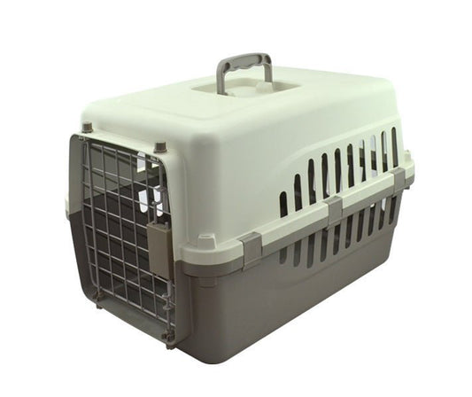 SUNNY TRANS.INTERMEDIA ECONOMICA