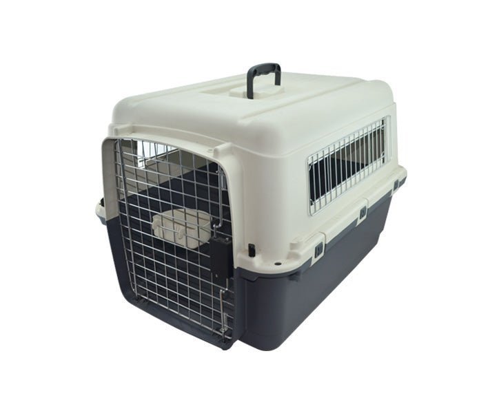 SUNNY TRANS.KENNEL