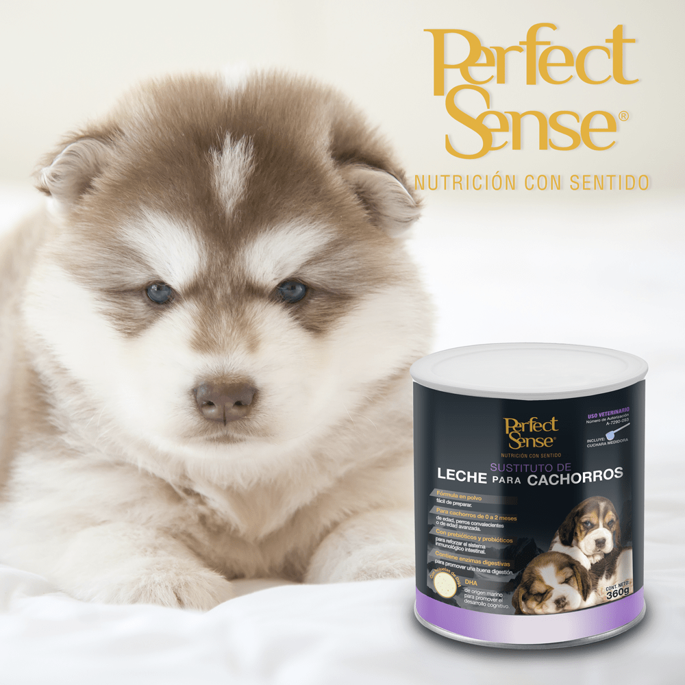 SUSTITUTO DE LECHE P/CACHORRO PERFECT SENSE