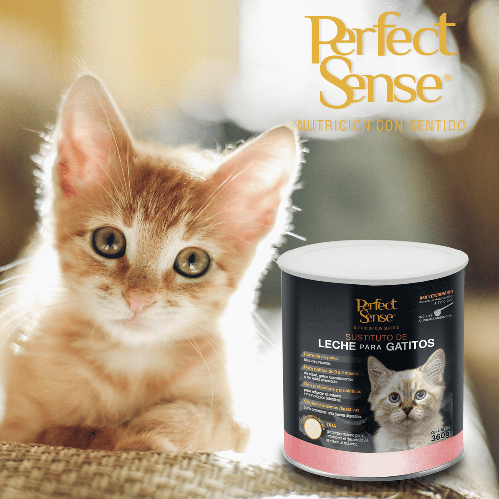 SUSTITUTO DE LECHE P/GATITOS PERFECT SENSE