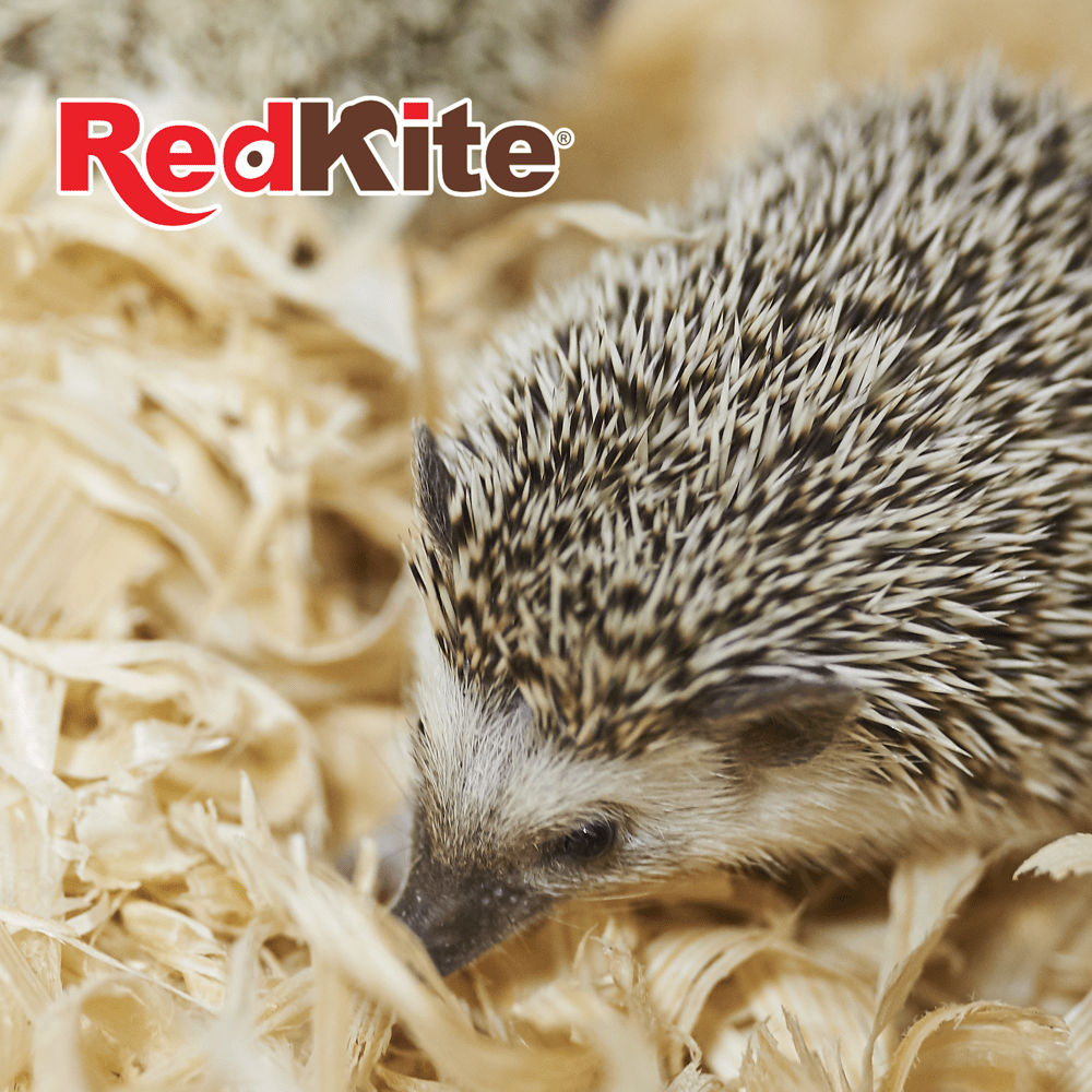 SUSTRATO DE MADERA FINA 8LT